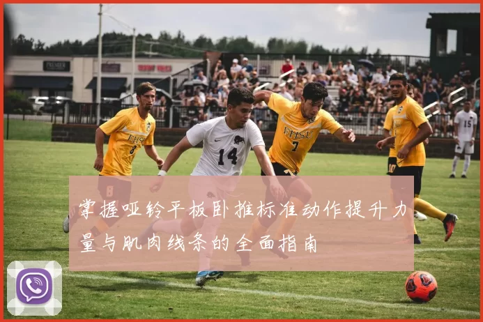 掌握哑铃平板卧推标准动作提升力量与肌肉线条的全面指南