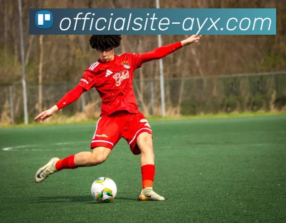 爱游戏平台生态图